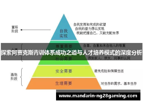 探索阿贾克斯青训体系成功之道与人才培养模式的深度分析