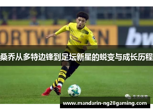 桑乔从多特边锋到足坛新星的蜕变与成长历程